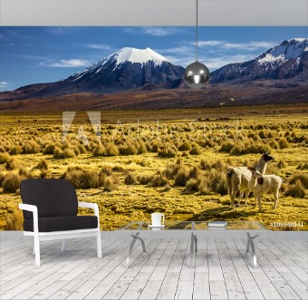 Picture of Bolivia - Parinacota